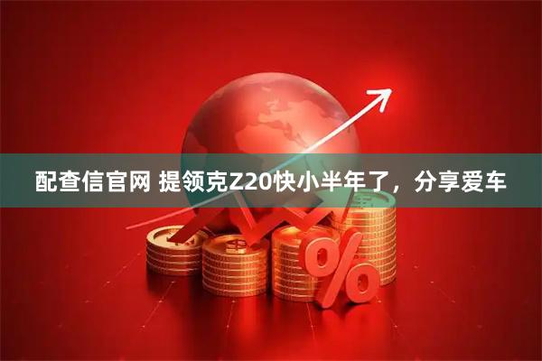 配查信官网 提领克Z20快小半年了，分享爱车