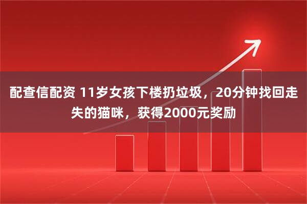 配查信配资 11岁女孩下楼扔垃圾，20分钟找回走失的猫咪，获得2000元奖励